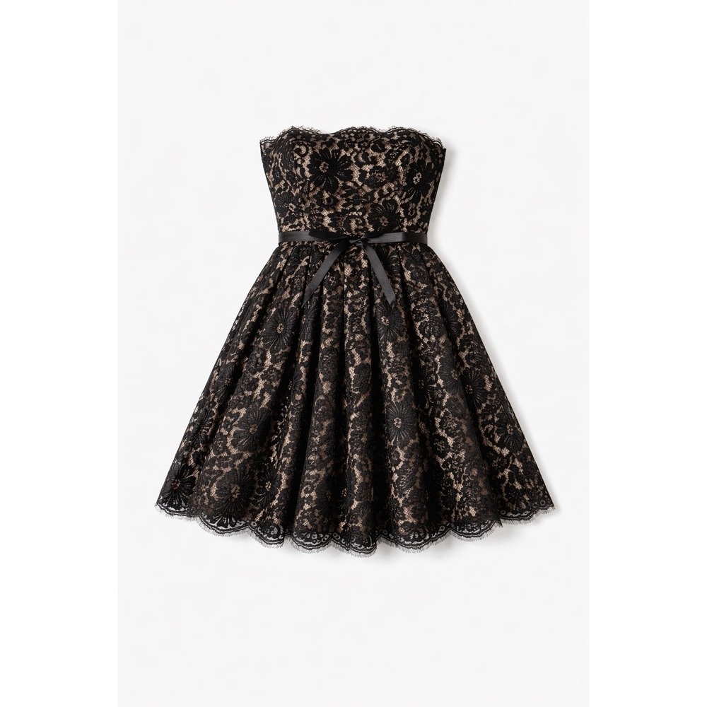 Robert Rodriguez Black Lace Strapless Fit-and-Flare Mini Dress